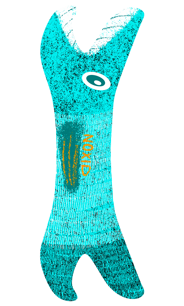 NOXID